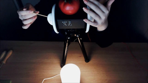 【ASMR】PPOMO耳朵触摸、按摩、拍打和轻语的声音